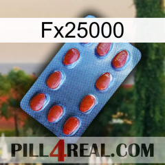 Fx25000 06